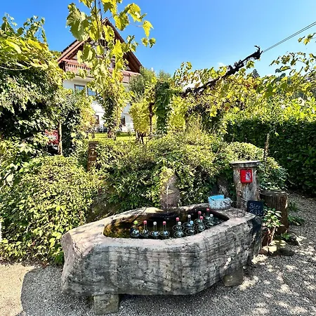 Gaishoell Lägenhet