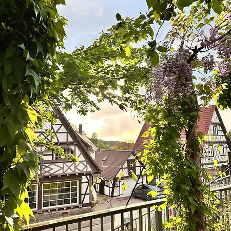 Apartament Gaishoell *